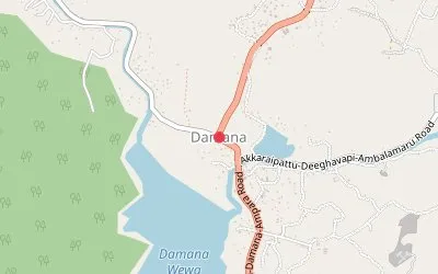 Damana map